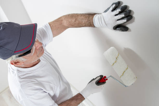Best Black Mold Removal  in Gold Hill, OR