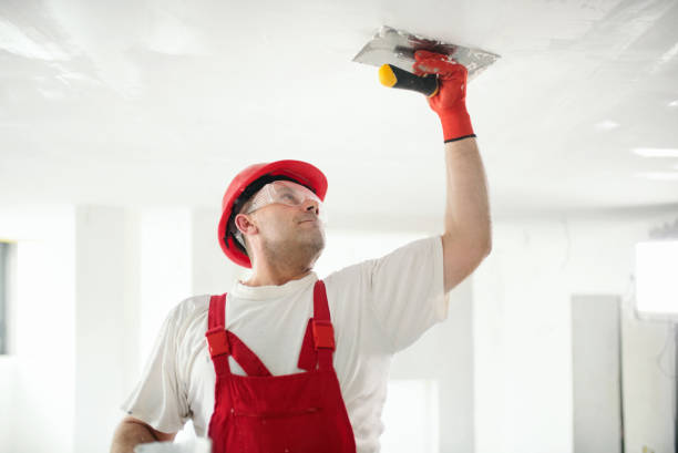 Forensic Mold Investigation in Gold Hill, OR